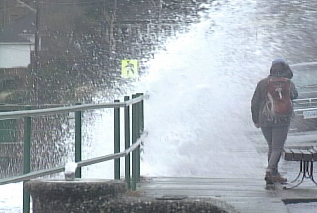 Wind warning issued for Greater Victoria, special weather statement for west Vancouver Island and Southern Gulf Islands