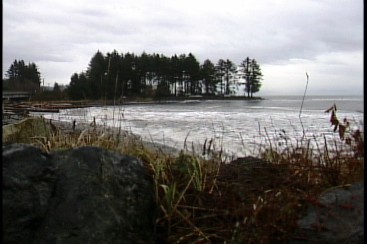 Sooke, Port Renfrew cell tower infrastructure upgrades completed