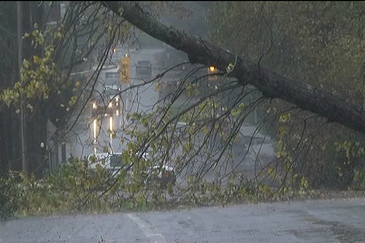 Wind gusts up to 100 km/h likely for Vancouver Island Monday