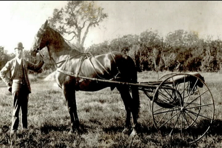 Your Country, Your Story:  Patricia Ball's Victoria roots date back to 1852!