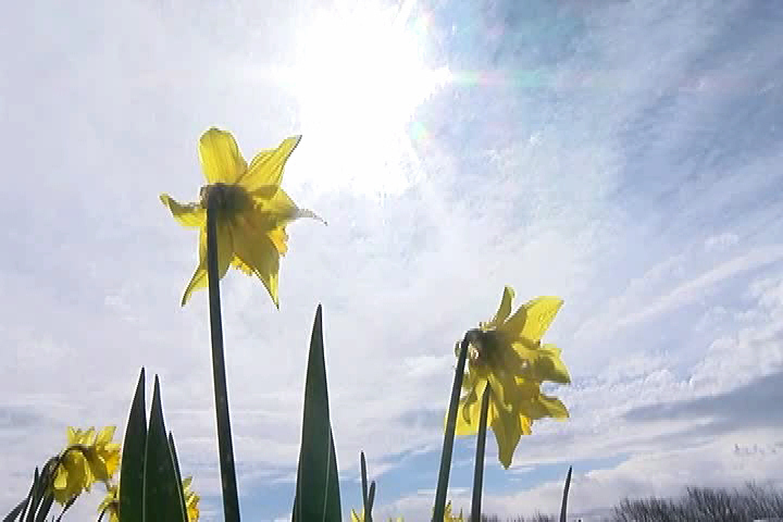 Did it feel like a record-breaking winter? Not so, says Environment Canada