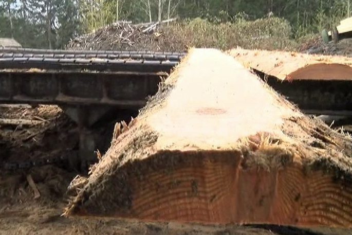 U.S. announces new tariffs on imports of Canadian softwood lumber