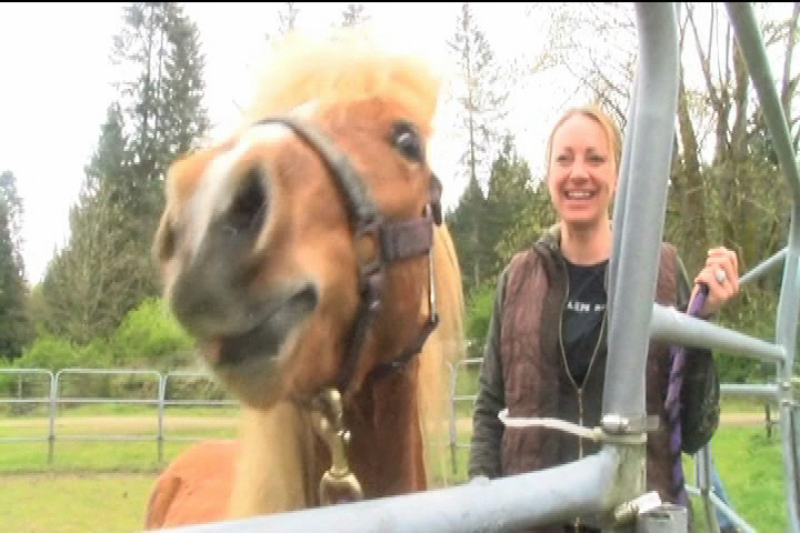 Healing with horses, Nanaimo event connects first responders and equines