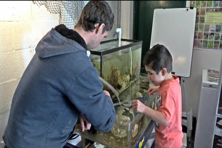 Gorge Park Nature House welcomes visitors every weekend