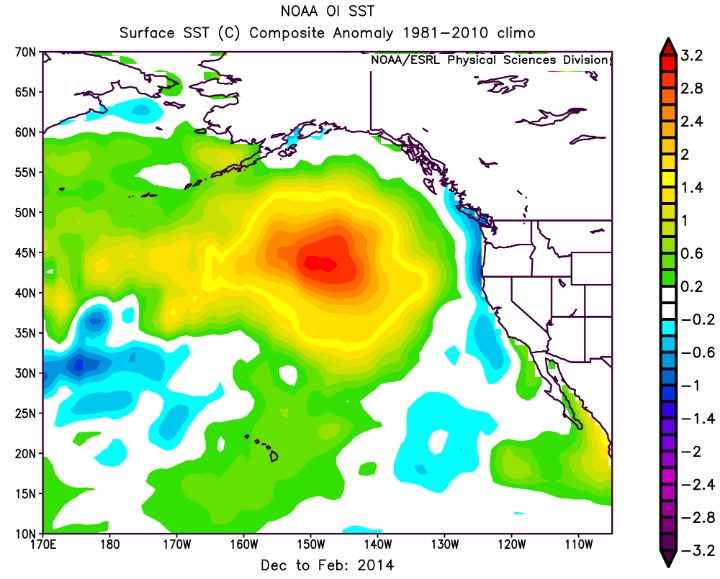 Pacific Ocean's 'blob' dissipates, according to scientists