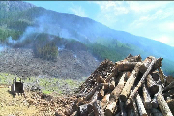 Firefighters still working wildfire near Port Alberni