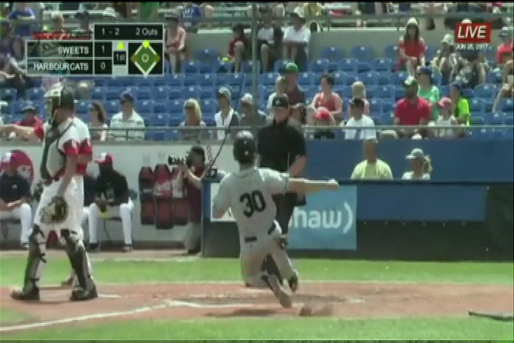 HarbourCats drop rubbermatch to Sweets