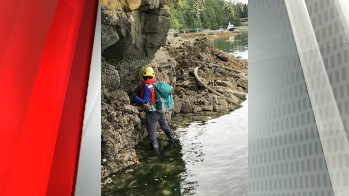 Search underway for missing boater on Salt Spring Island