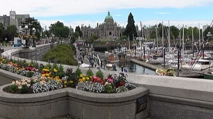 Victoria ranked most romantic city in B.C., OpenTable survey says