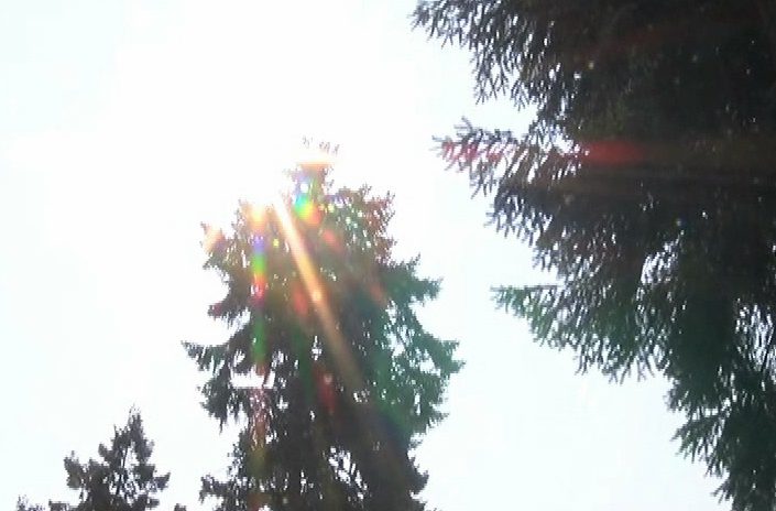 Heat record set in the Comox Valley