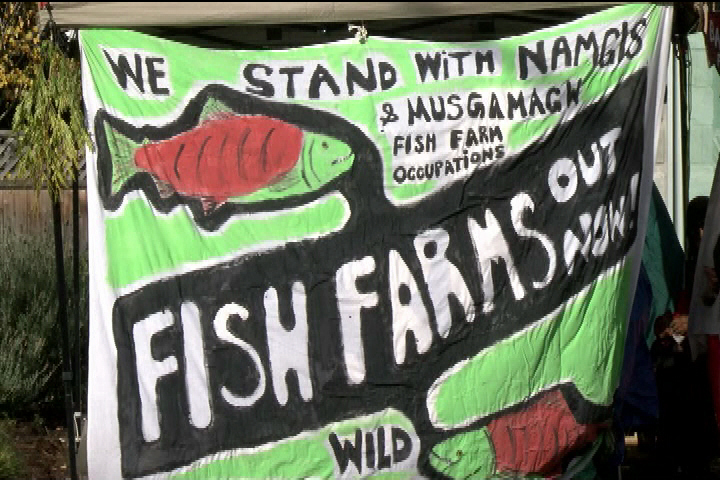 First Nations coalition demands a fish farm meeting with the B.C. premier