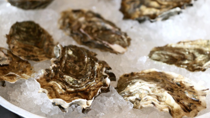 4 shellfish farms in B.C. closed after being linked to norovirus in raw oysters