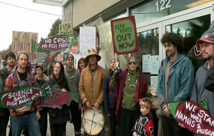 Hearing Tuesday morning to remove fish farm protesters near Port Hardy