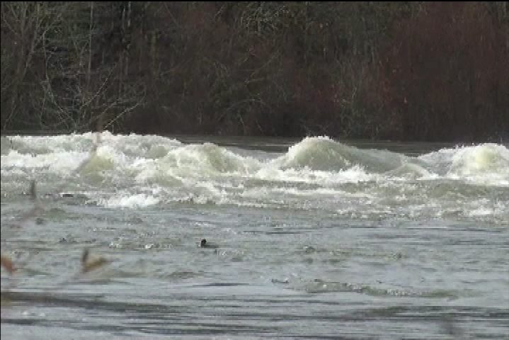 BC River Forecast Centre warns people to stay away from rivers as water levels expected to rise