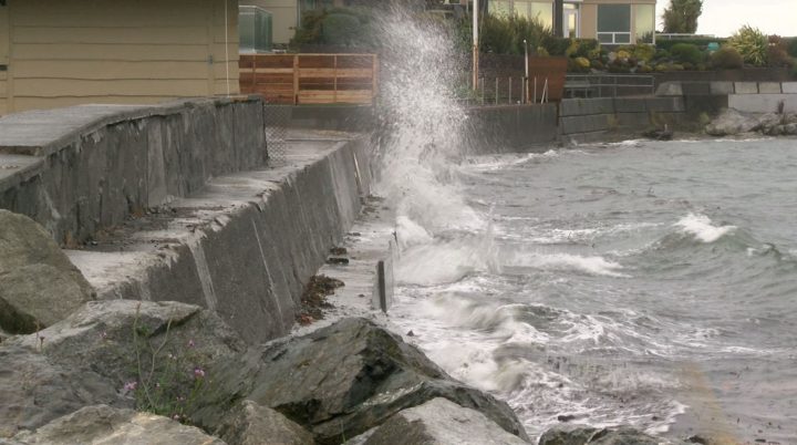 Environment Canada says 'strong wind gusts' up to 80 km/h expected in Greater Victoria