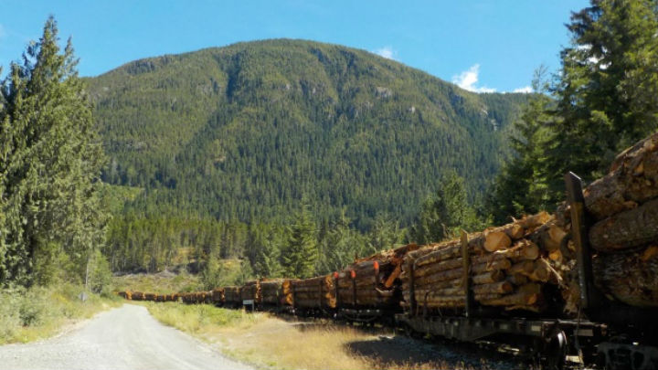 Company shuts down train line that transported logs on Vancouver Island