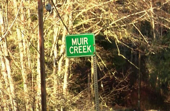 For now, Muir Creek safe from logging scare