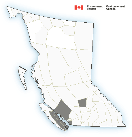 Fog advisory issued for Greater Victoria, Eastern and inland Vancouver Island