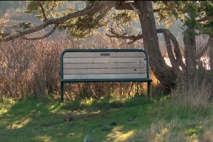 Sooke council votes to rescind controversial letters demanding renewal fees for memorial benches