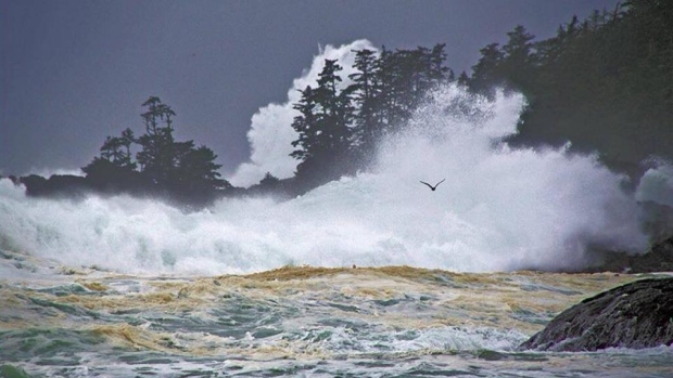 Environment Canada issues wind warning for parts of Vancouver Island