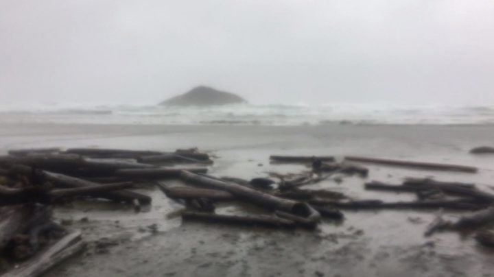 Vancouver Island is recovering after being hit by one of the most powerful wind storms seen in the past decade.