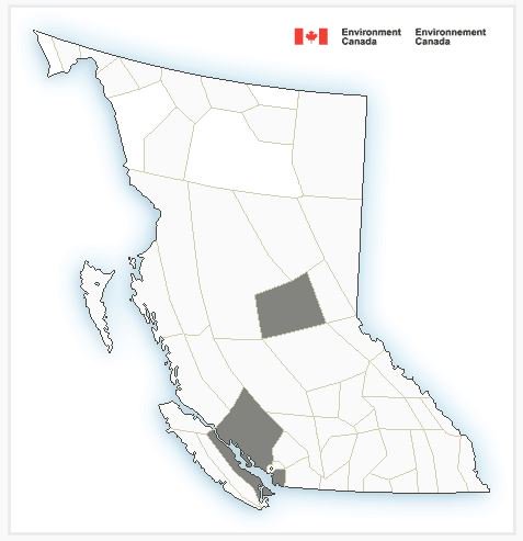 Fog advisory in effect for Eastern Vancouver Island and Southern Gulf Islands