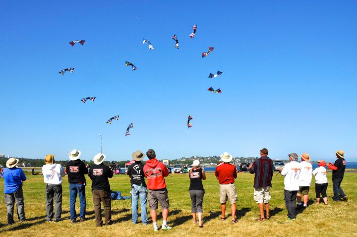 Annual Victoria kite festival will not take flight in May