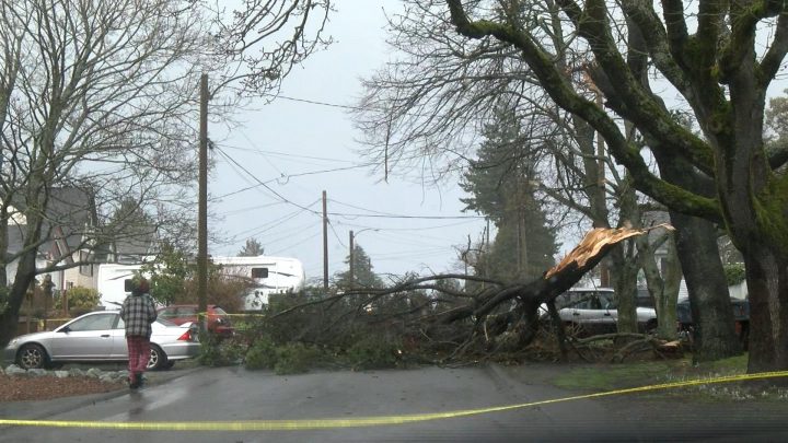 Snow to join second round of strong winds for parts of Vancouver Island