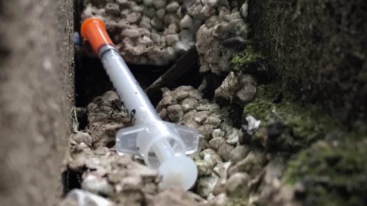 Kids reportedly playing darts with used syringes at Hampton Park in Saanich