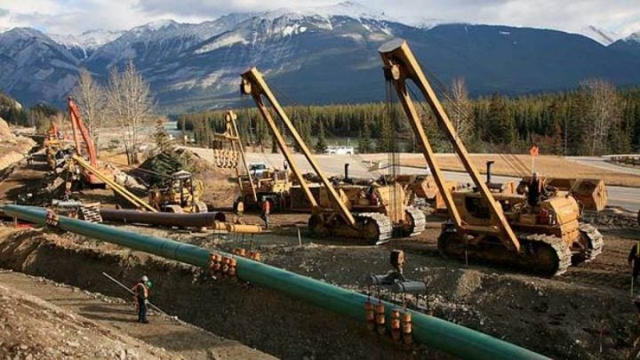 Reaction swift following court ruling puts Trans Mountain pipeline project in limbo