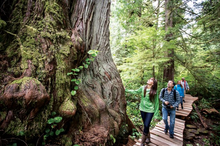 Seven things to do this summer on Vancouver Island