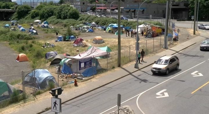 City of Nanaimo says it will ask Island Health to reconsider health hazard order for tent city