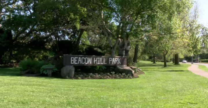 Police seek witness in suspicious vehicle fire in Beacon Hill Park