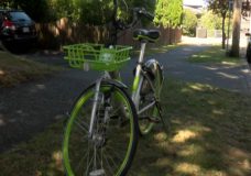 How are dockless bicycles being received in Victoria?