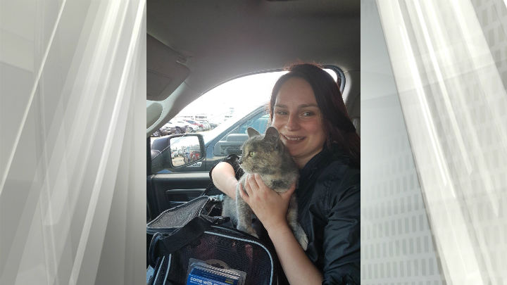 Stowaway cat flown home to Edmonton after hitching ride to Duncan