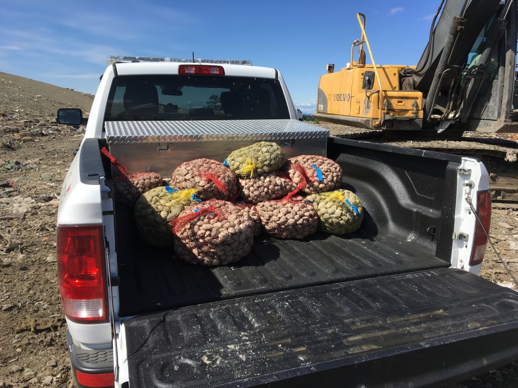 Warning issued about rise in illegal shellfish harvesting near Nanaimo