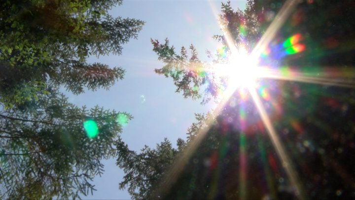 Heat warning issued for Greater Victoria and other parts of Vancouver Island