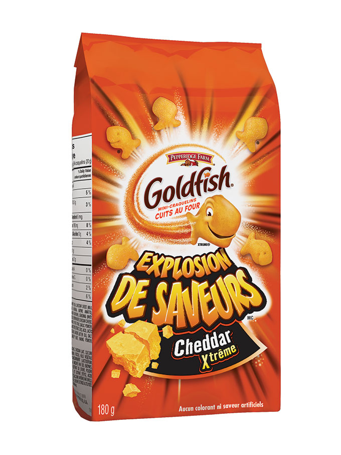 Pepperidge Farm brand Goldfish Blasted Xtreme Cheddar Crackers recalled on salmonella risk