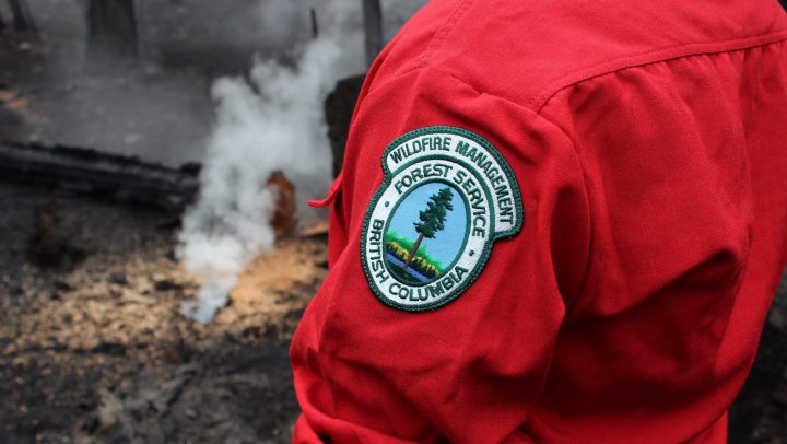 3 lightning caused wildfires burning in Strathcona Provincial Park near Myra Falls