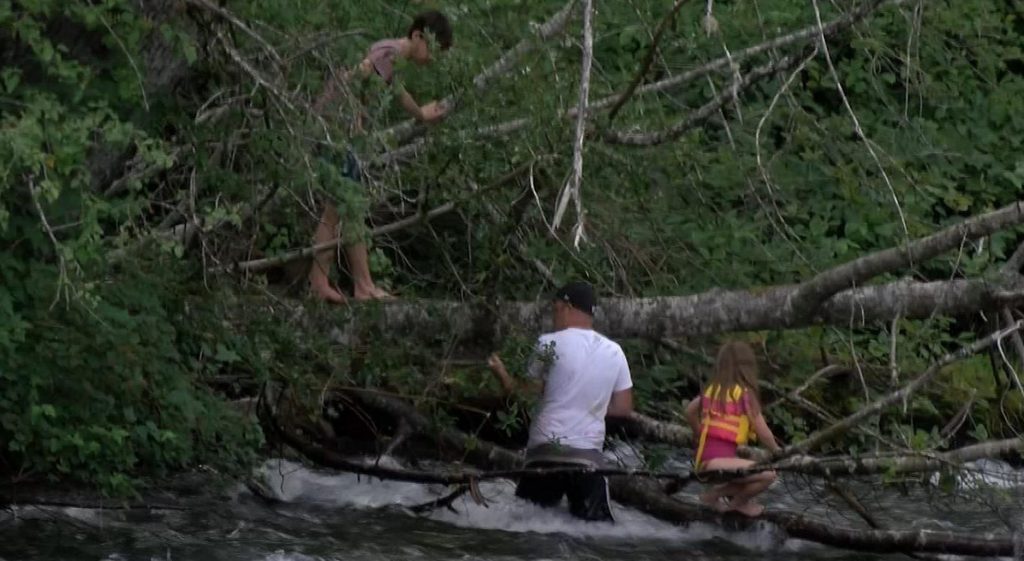 Tubers rescued on Puntledge River after getting snagged by fallen tree