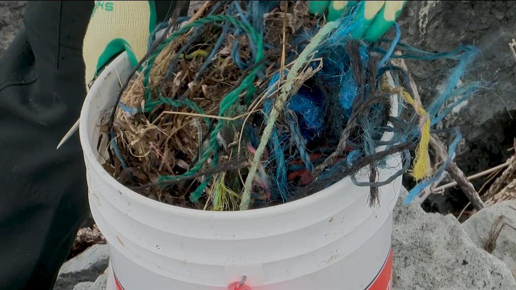 Baynes Sound shoreline cleanup: From tires to coffee cups and lots of rope