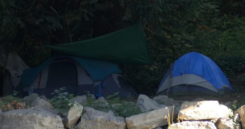 Homeless camp moves into rural Cedar near Nanaimo