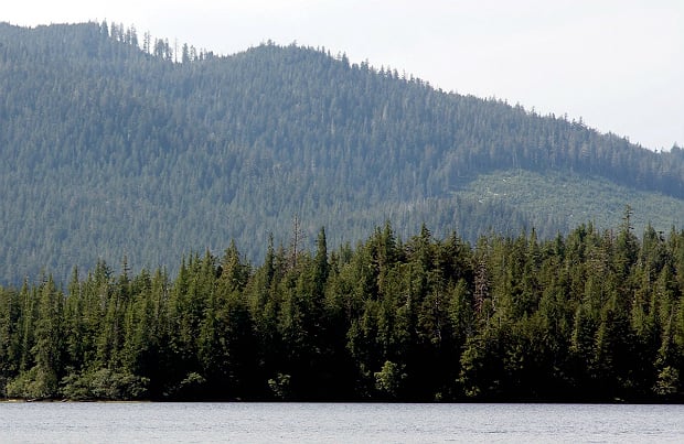 Pacheedaht First Nation and Cowichan Lake now in first of a kind forest agreement with province