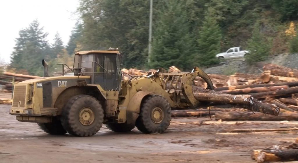 Experts say Port Alberni sawmill will bring investment, jobs and add value to small logs