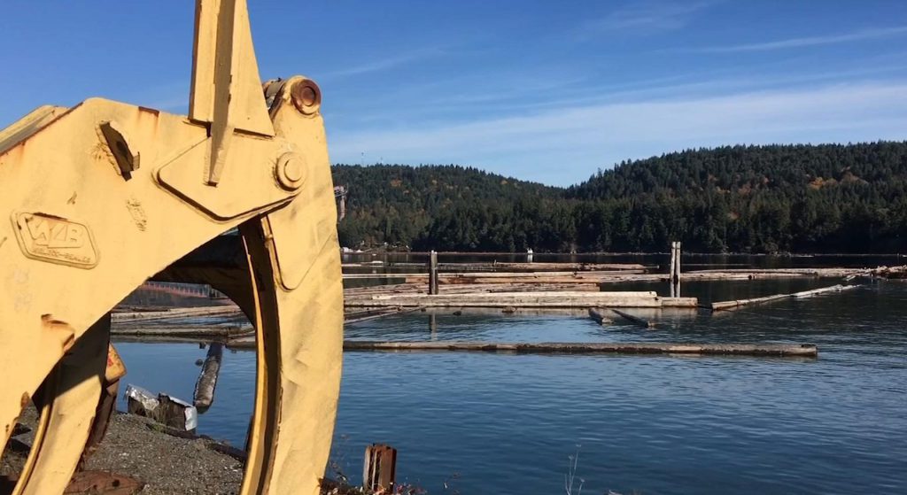 Log shortage from forest fires sparks sawmill closure in Ladysmith