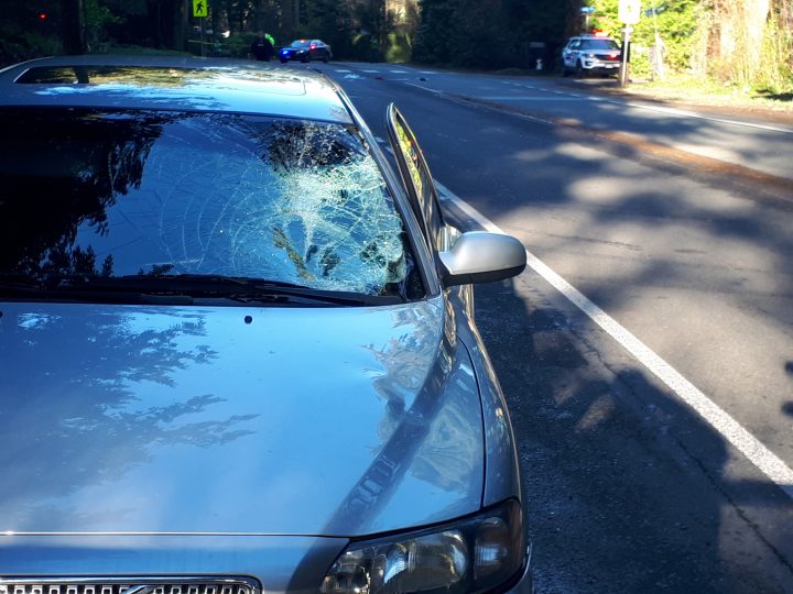 One pedestrian sent to hospital with serious injuries after vehicle incident on East Saanich Road