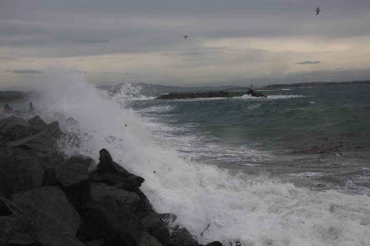 Waves at the Turkey Head Walkway on Dec. 20, 2018. (Tom Kofin).