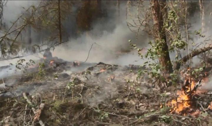 UVic researchers determine strong link between B.C. wildfires and human-induced climate change