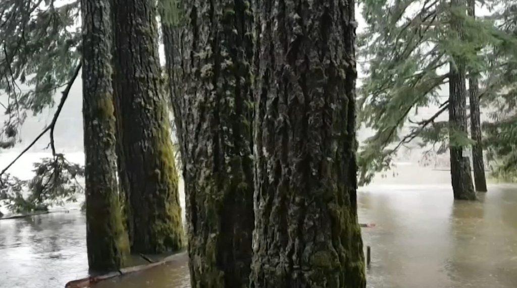 Torrential rainfall impacts roads and rivers across Vancouver Island