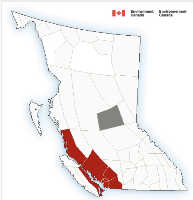 New snowfall warning in effect for Greater Victoria, Malahat and East Vancouver Island